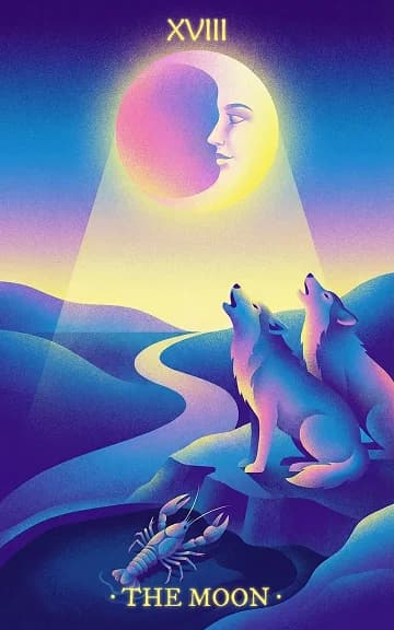 The Moon