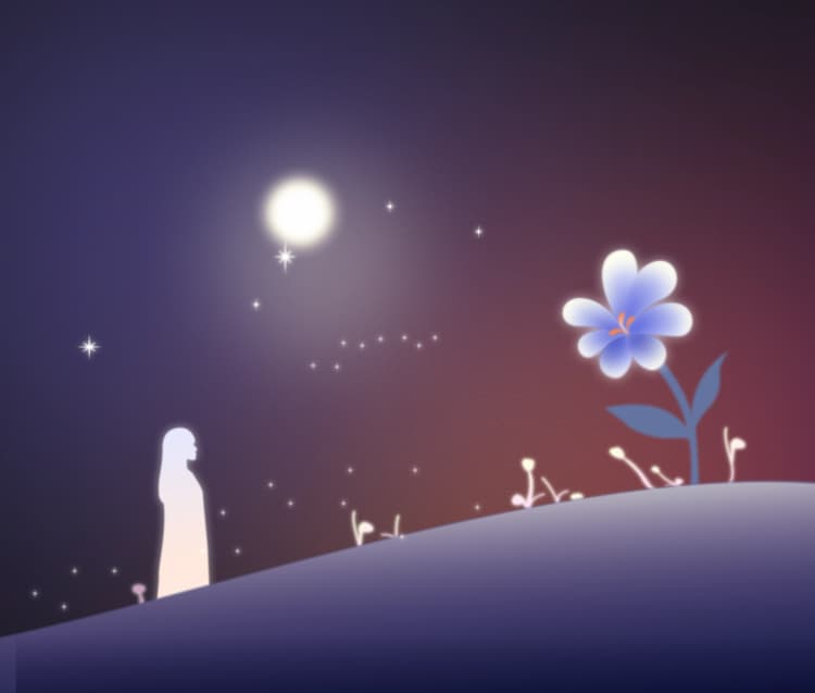 Your Soulful Companion